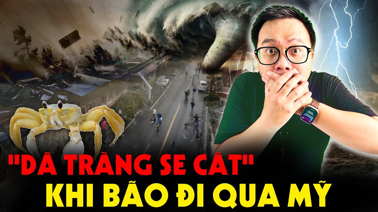 Giấc Mơ Mỹ như Dã Tràng Se Cát Sau Bão Milton