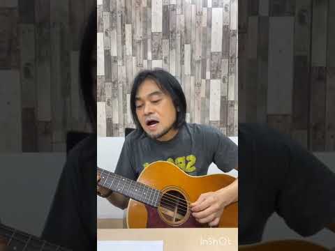 堀込泰行×堀込高樹 インスタライブ のサムネイル
