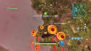 フォートナイト　久しぶりにドン勝したい