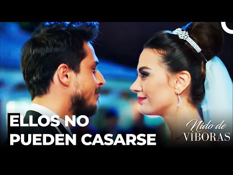 Nuestro Amor Basta A Todo Lo Que Sea - Nido De Víboras Capitulo 6 (Dobladas en Español)