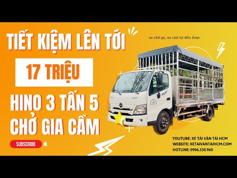 XE TẢI HINO 3 TẤN 5 CHỞ GIA CẦM GÀ VỊT | 196 LỒNG GÀ NHIỀU NHẤT HIỆN NAY