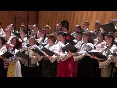 Sabin DRAGOI - Trandafir de pe razoare