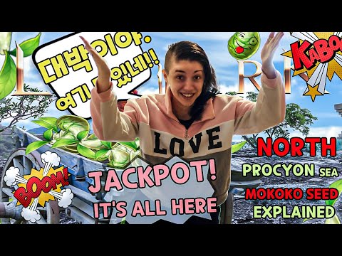 Lost Ark North Procyon Sea Mokokos-  Make Sure To Collect Them All