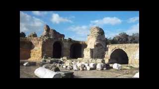 preview picture of video 'Ruinen von Karthago Ausflug vom Hotel AZIZA  Tunesien Urlaub 2013'