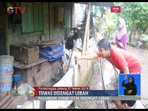 Apa cara terbaik untuk potensi Herbal thai untuk potensi