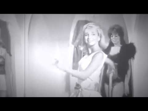 The Pilot Program - Runaway