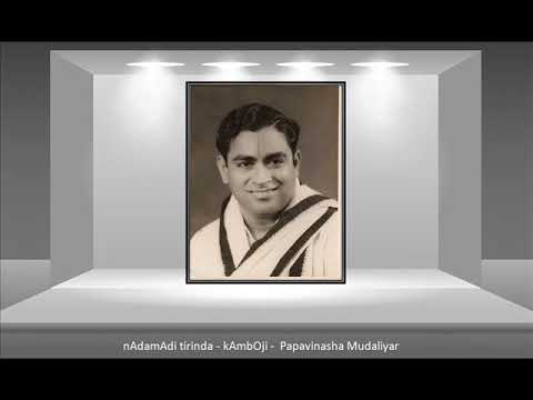 V. V. Sadagopan - nAdamAdi tirinda -  kAmbOji  -  Papavinasha Mudaliyar