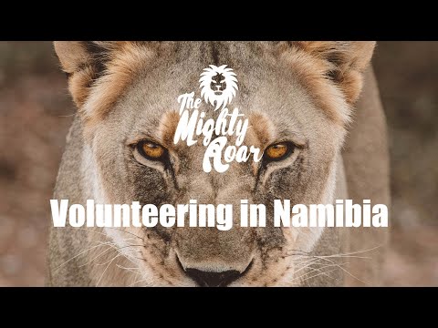 Volunteering in Namibia