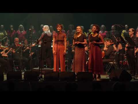 Goran Bregović - Ederlezi (musique le Temps des Gitans) | Trio Nota & l'Orchestre 1001 Notes