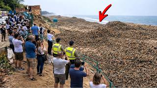 Download lagu ACT OF GOD! RESIDENTS TOO SCARED TO GET CLOSE, The Moments Strange Natural Phenomena Were Caught ... mp3 Download lagu ACT OF GOD! RESIDENTS TOO SCARED TO GET CLOSE, The Moments Strange Natural Phenomena Were Caught ... mp3