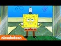 SpongeBob SquarePants |  SpongeBob Lange-broek | Nickelodeon Nederlands