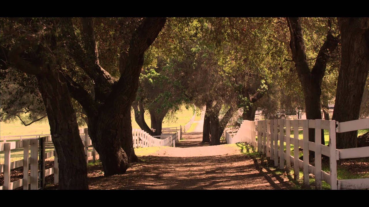 Girl on the Edge Trailer Thumbnail
