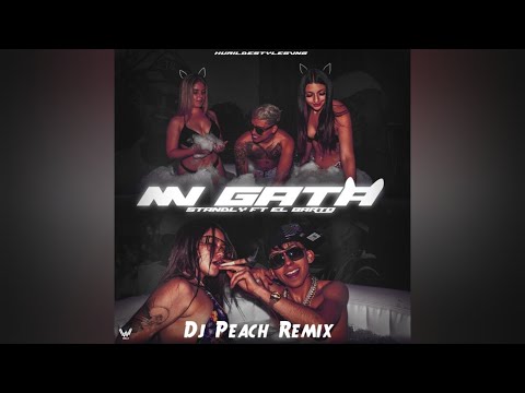 Standly ft. El Barto - Mi Gata (Dj Peach Remix)