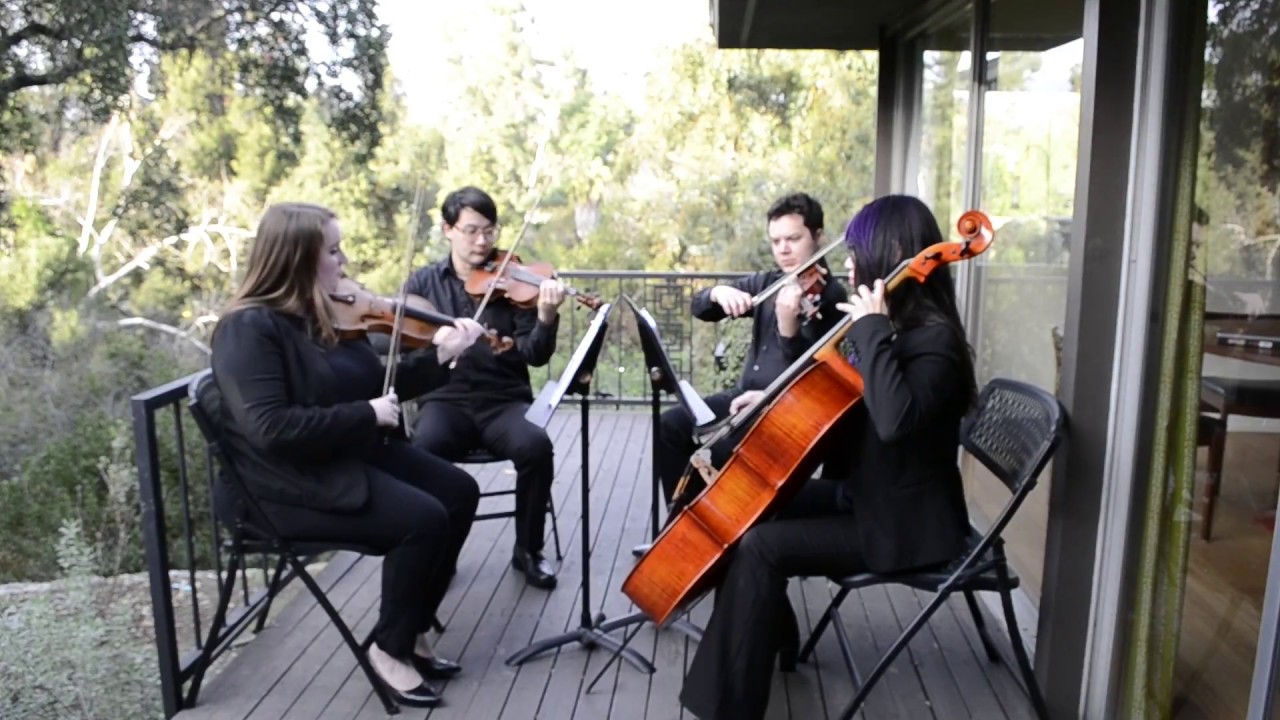 Promotional video thumbnail 1 for Sunset String Quartet