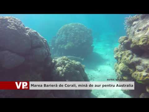 Marea Barieră de Corali, mină de aur pentru Australia