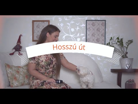Panna-bál  -  Hosszú út
