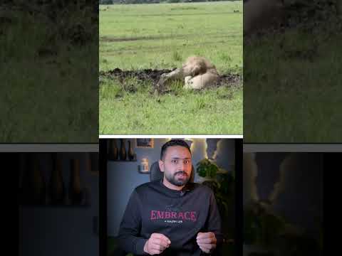 أغرب لقطات صورتها الكاميرا جـ27 #shorts