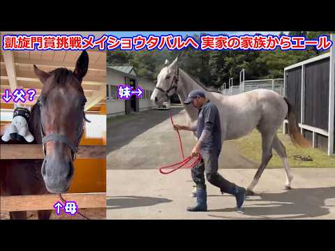 メイショウツバクロ」のYahoo!リアルタイム検索 - X（旧Twitter）を