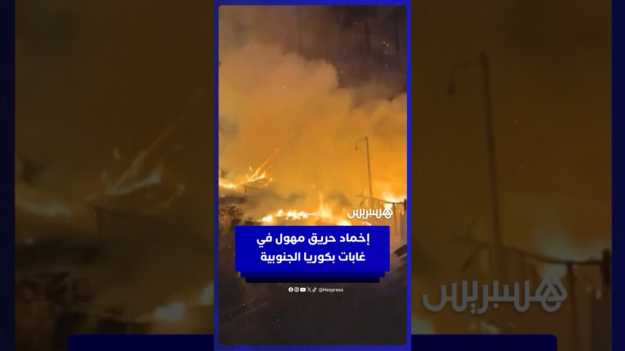 إخماد حريق مهول في غابات كوريا الجنوبية بعد 17 ساعة من العمليات المكثفة thumbnail