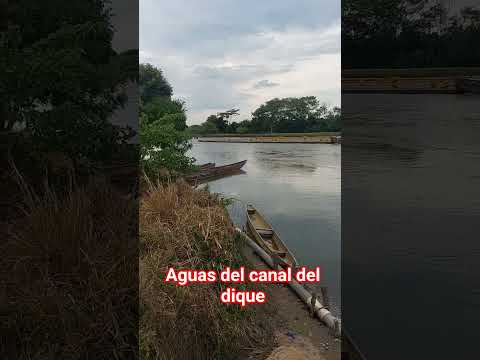 así se navega por las aguas del canal del dique,  Mahates Bolívar
