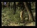 Lepa Brena - Sanjam SPOT 1 