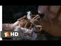 The Crocodile Hunter Collision Course 6 10 Movie CLIP Exploring A Spider Hole 2002 HD