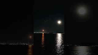 Download lagu Story wa || status Wa Buat Malam Hari Bagus Dunia Hari Ini!! mp3