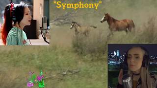 Download lagu Symphony' by J Fla & Madilyn Bailey - (Clean Bandit feat. Zara Larsson) mp3