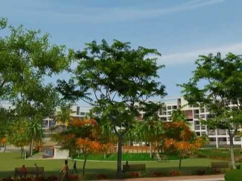 Walkthrough Walkthrough