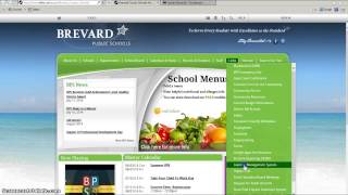 IE Extension in Launchpad