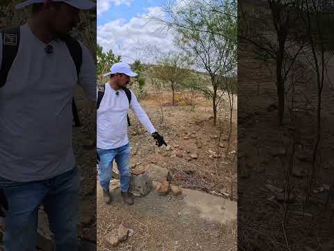 eu estou na antiga vila de couro Dantas na zona rural de riacho das almas Pernambuco