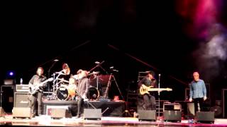 Cactus 14.07.2012 (06) Alaska