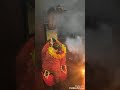 माँ तारा की आरती महिषी सहरसा Manoranjan Kumar Choudhar