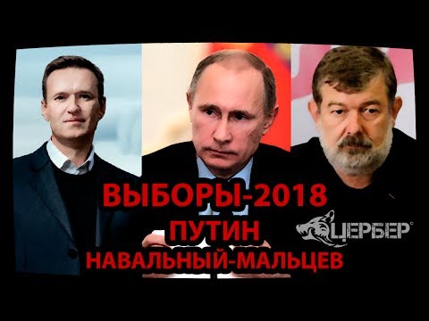 Выборы2018, Путин, Навальный, Мальцев [Мысли Цербера]