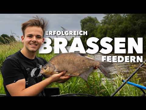 Einfaches Brassen-Angeln. Oli zeigt sein Futter, die Köder und Taktik am kleinen Fluss 🎣