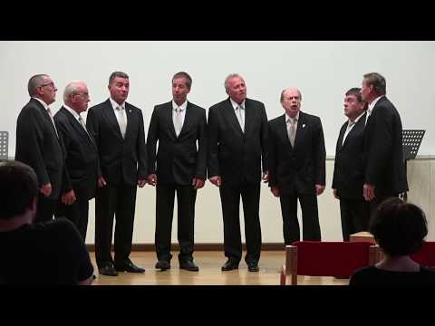 Oktet Valvasor - Moja za zmeron