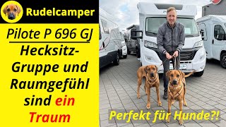 ARTGERECHT: Haben wir das perfekte Wohnmobil für unsere Hunde gefunden? - Pilote P 696 GJ - 060