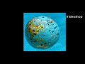Animal Atlas Opening Intro Robert Original