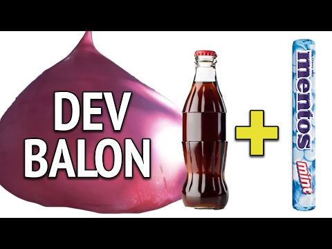 Dev Balonla Kola + Mentos Deneyi