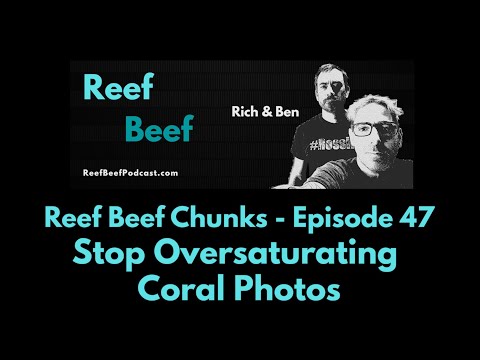 Stop Oversaturating Coral Photos - Reef Beef Chunks