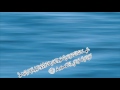 Sheekh Aliyyi Hasan Shuunee