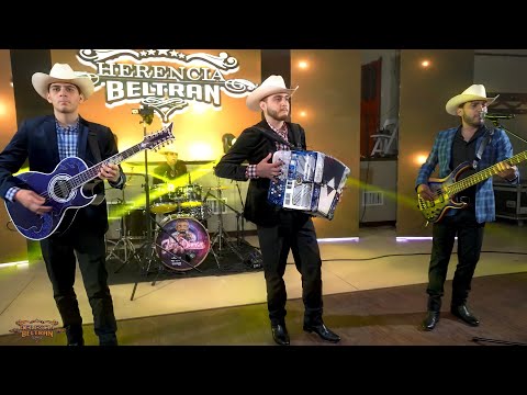 Herencia Beltran - El Becerro (En Vivo 2022 Corrido Inedito)