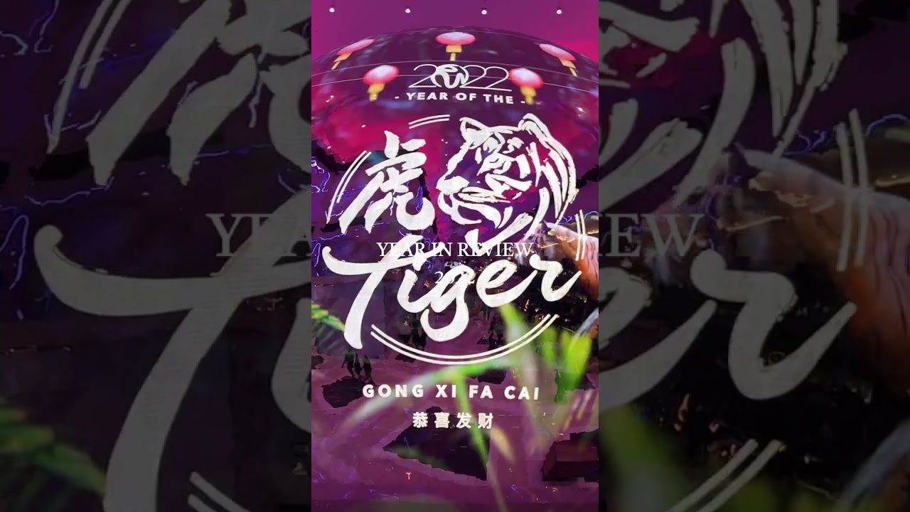 2022 Year in Review #shorts