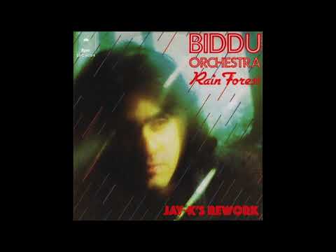 BIDDU ORCHESTRA- Rain Forest (Jay-K's ReWork)