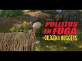 Pollitos En Fuga El Origen De Los Nuggets Avance Oficial Doblado Español Latino