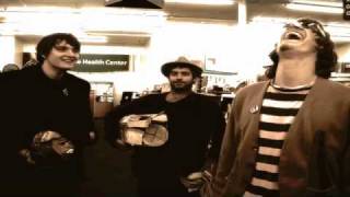 Miniature Tigers - Bullfighter Jacket