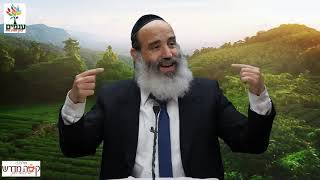הרב יצחק פנגר | לדעת לשחרר - שידור חי!