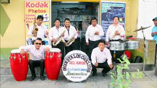 los choclitos del amor   ME DICES QUE YA TE VAS