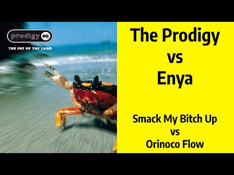 The Prodigy - Smack My Bitch Up vs Enya - Orinoco Flow | 90s Songs