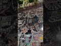 Wanted To Shop It All Wantedshop Indiashopping Shopping NewYTshorts LatestYTshorts Surbhi